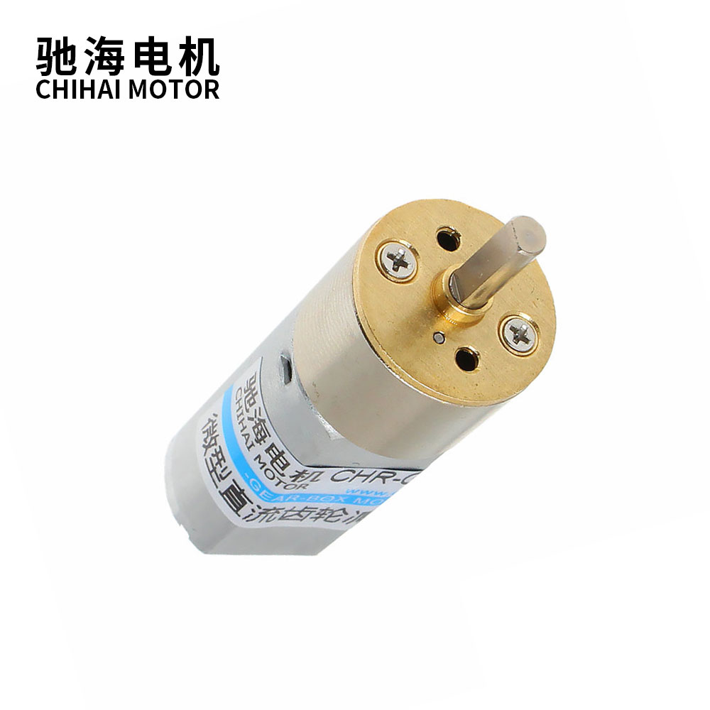 Chihai Motor DC 3V 6V 12V 24V  - Diy Automation Projects recensie en prijs